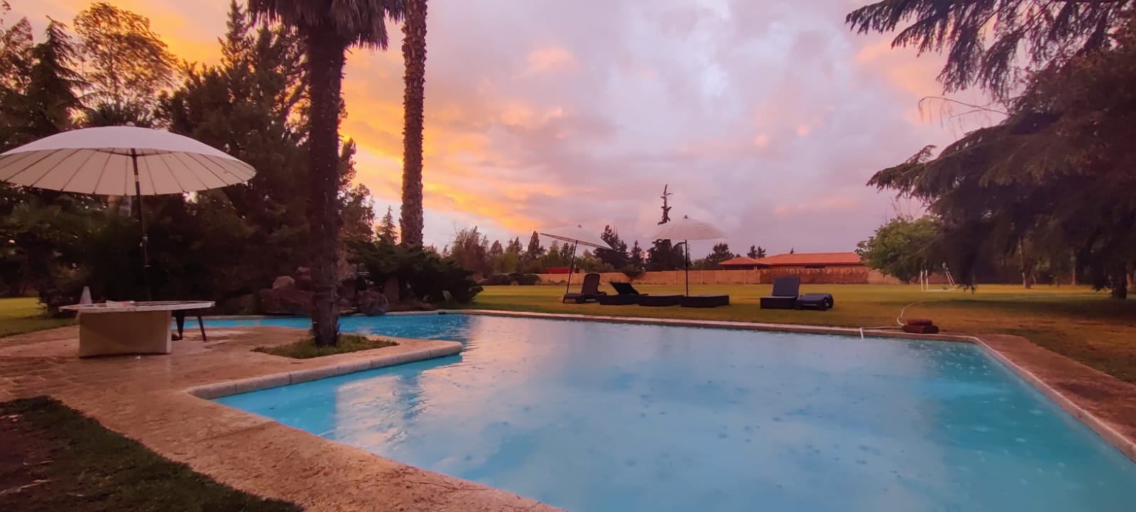 Quincho con piscina rodeado de palmeras en Casaquince